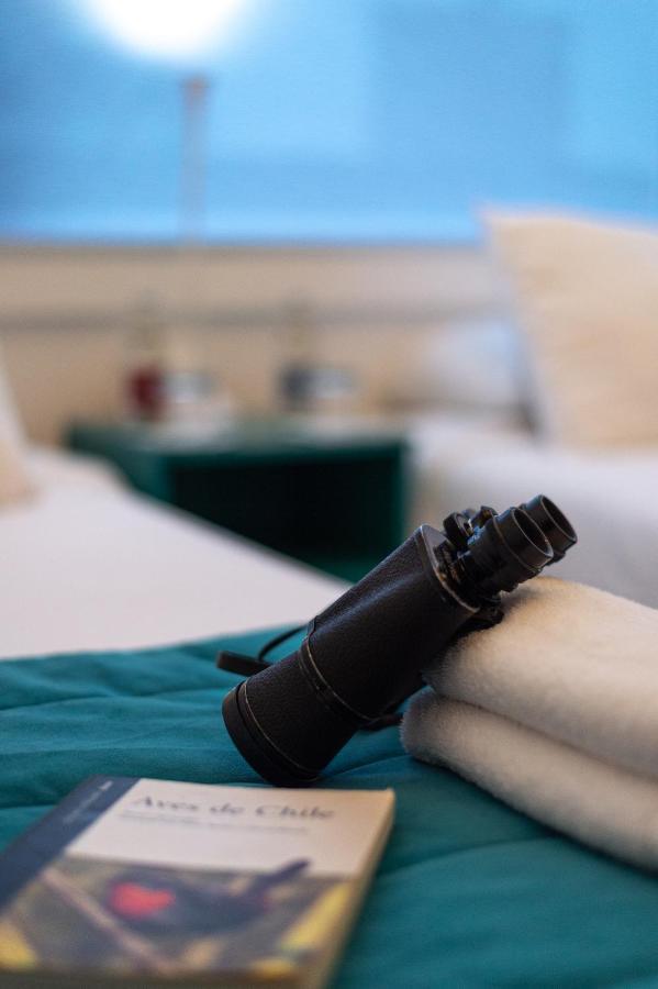 Hostal Boutique Terra Antarctica Punta Arenas Exterior foto